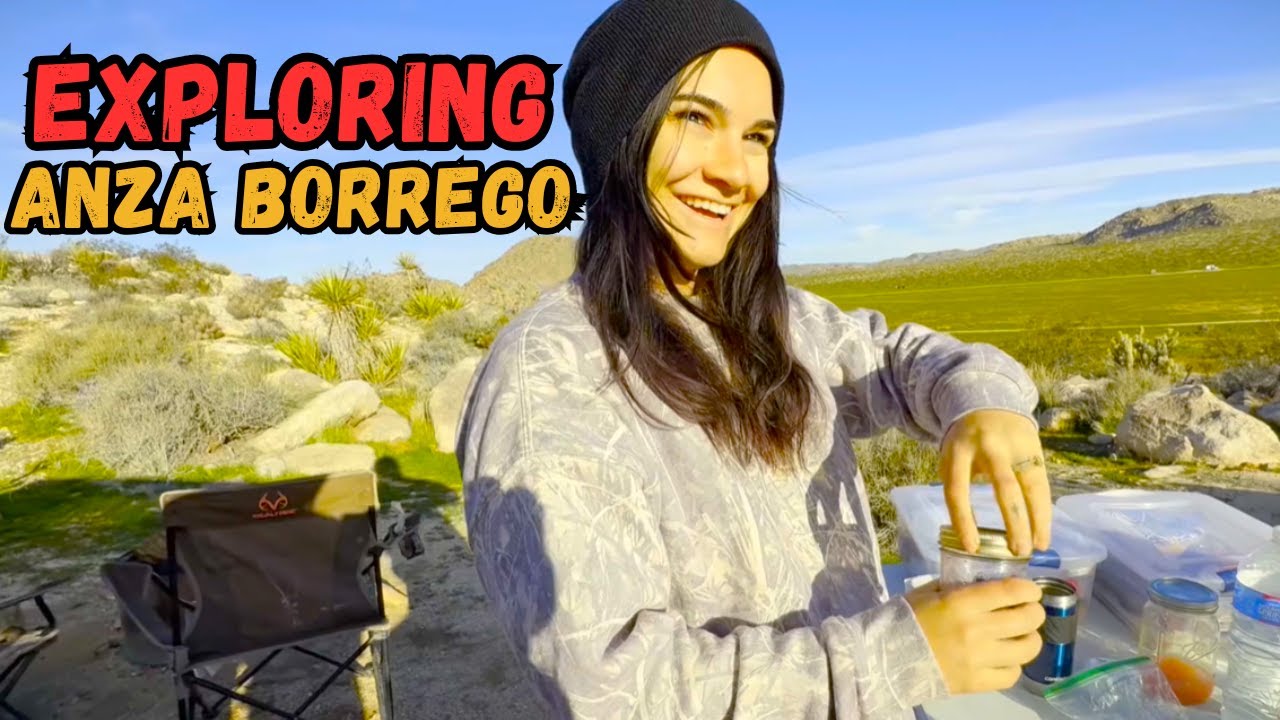 Off-Grid Camping in Anza-Borrego: Wildflowers, Slot Canyons & Remote Desert Camping