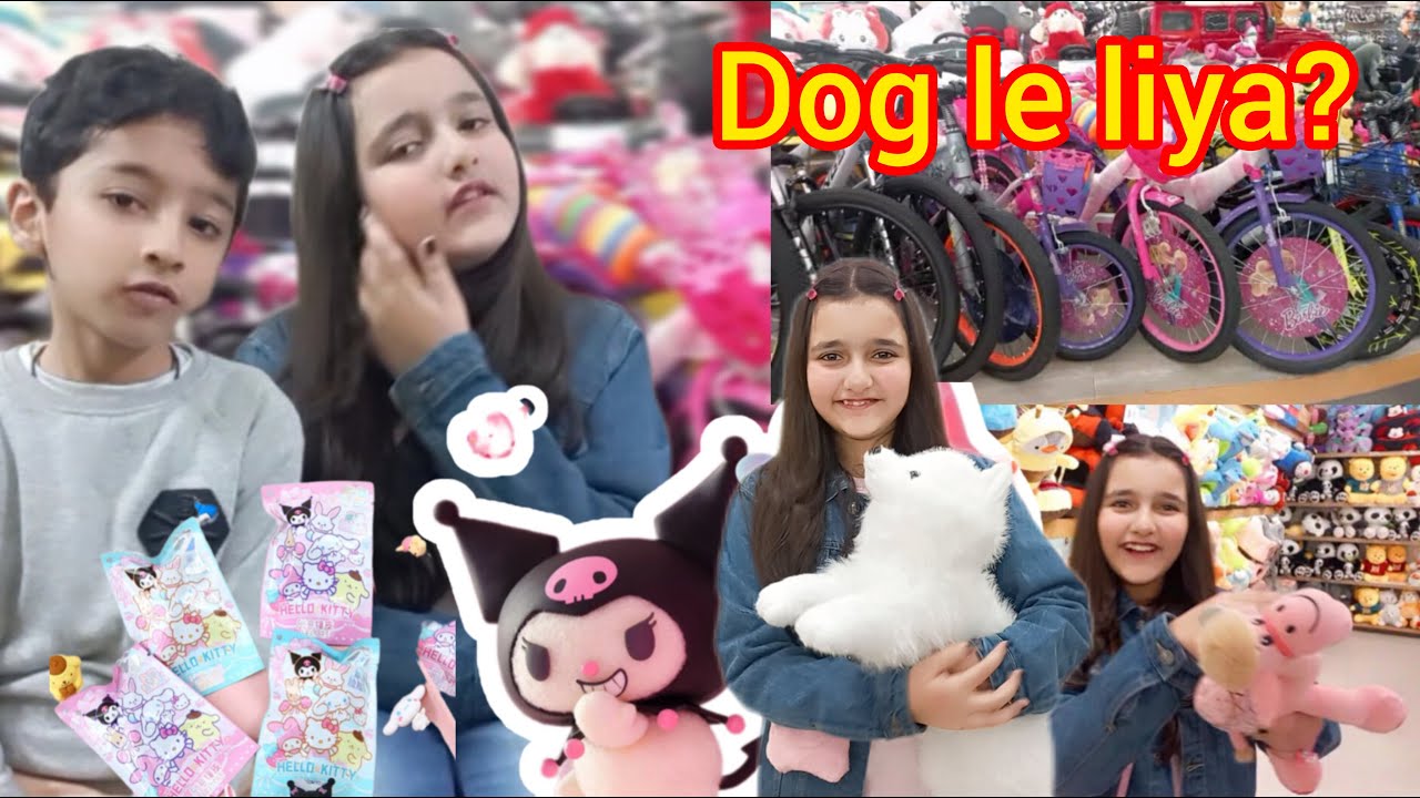 Zainab Ne Dog Le Liya? | Abubakar Say Milnay Gay | Winter Holidays Start🥶 | Zainab's Entertainment