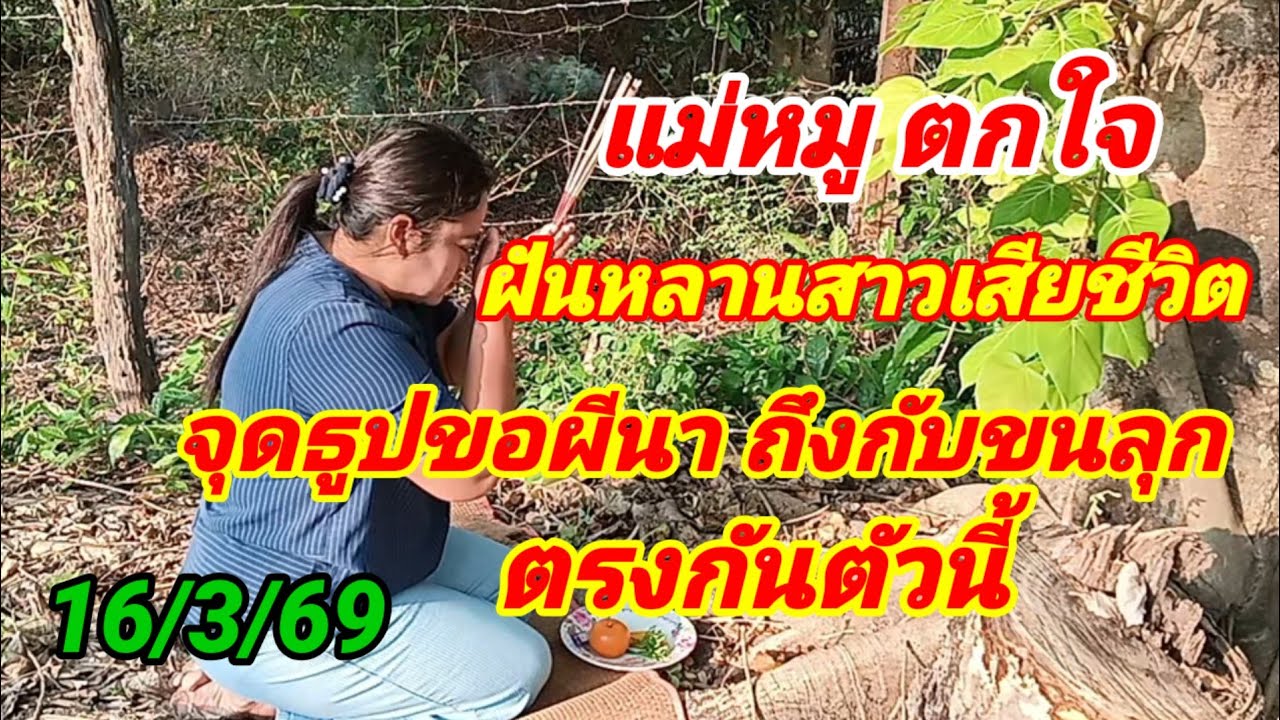 แม่หมูตกใจฝันหลานสาวเสียชีวิตจุดธูปขอผีนาถึงกับขนลุกตรงกันตัวนี้ 16/3/69