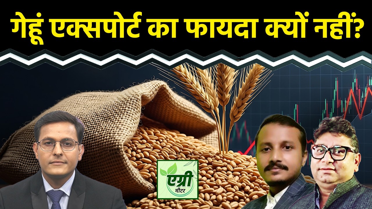 Agri Commodity : शॉर्ट टर्म में गेहूं का भाव घटेगा या बढ़ेगा? Trading | NCDEX | Commodity Market