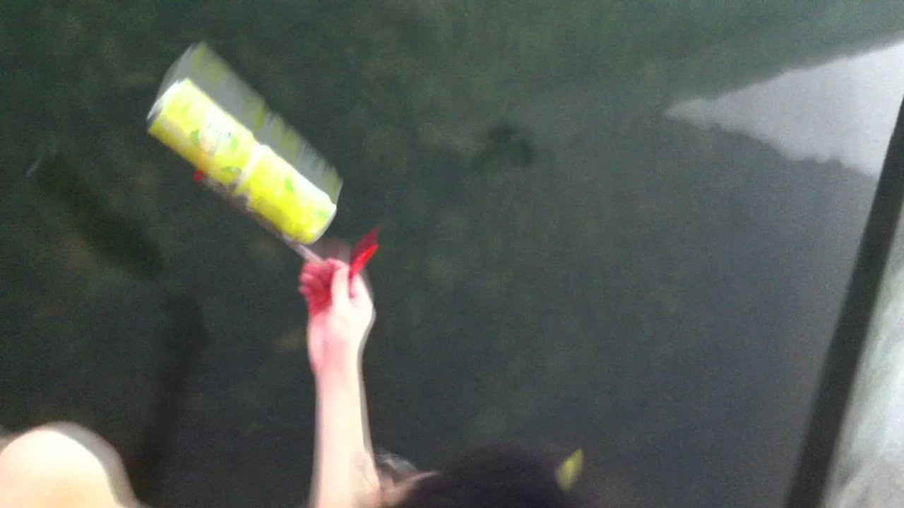 Toy Propeller Boat