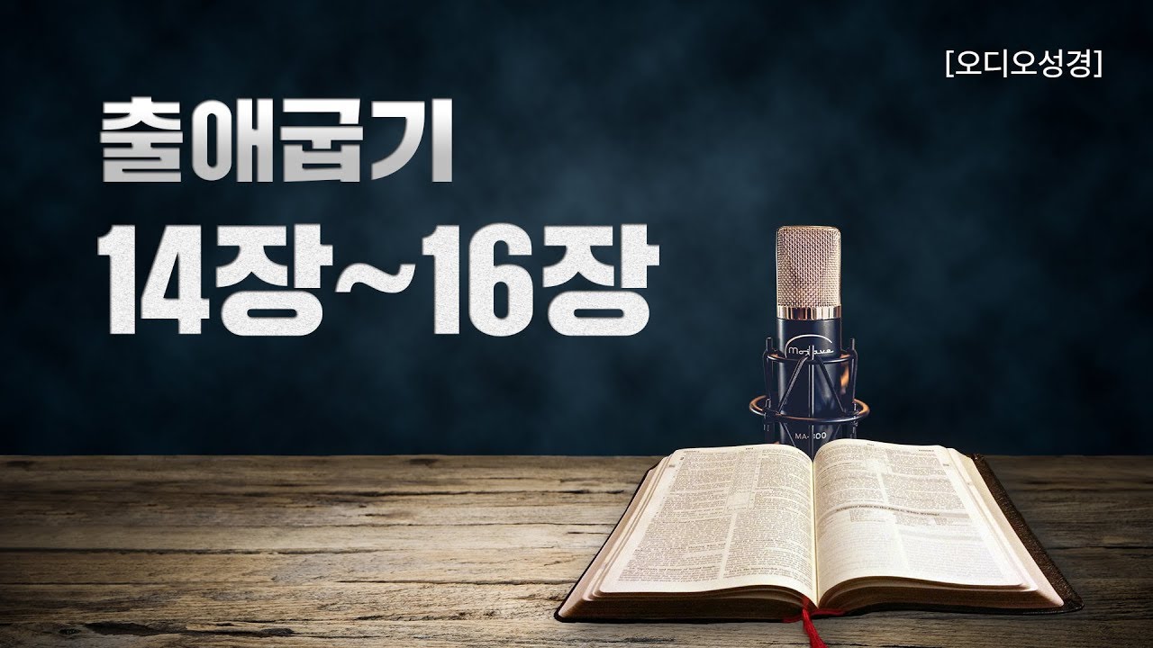 [오디오성경] 출애굽기 14장 15장 16장 | 조정민 목사