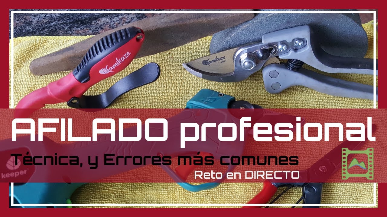 🌟 Cómo AFILAR 🔪 cuchillos y las tijeras ✂ de PODAR | LdN