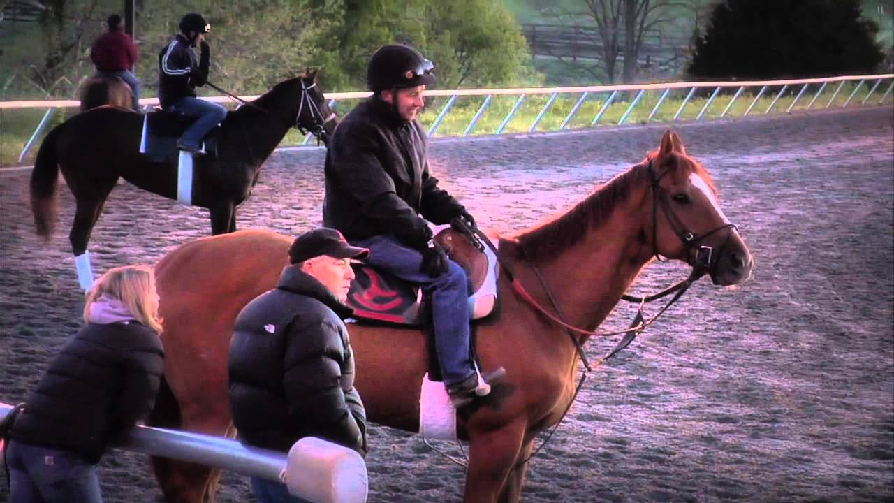 it's my job: The Exercise Rider (ep1)