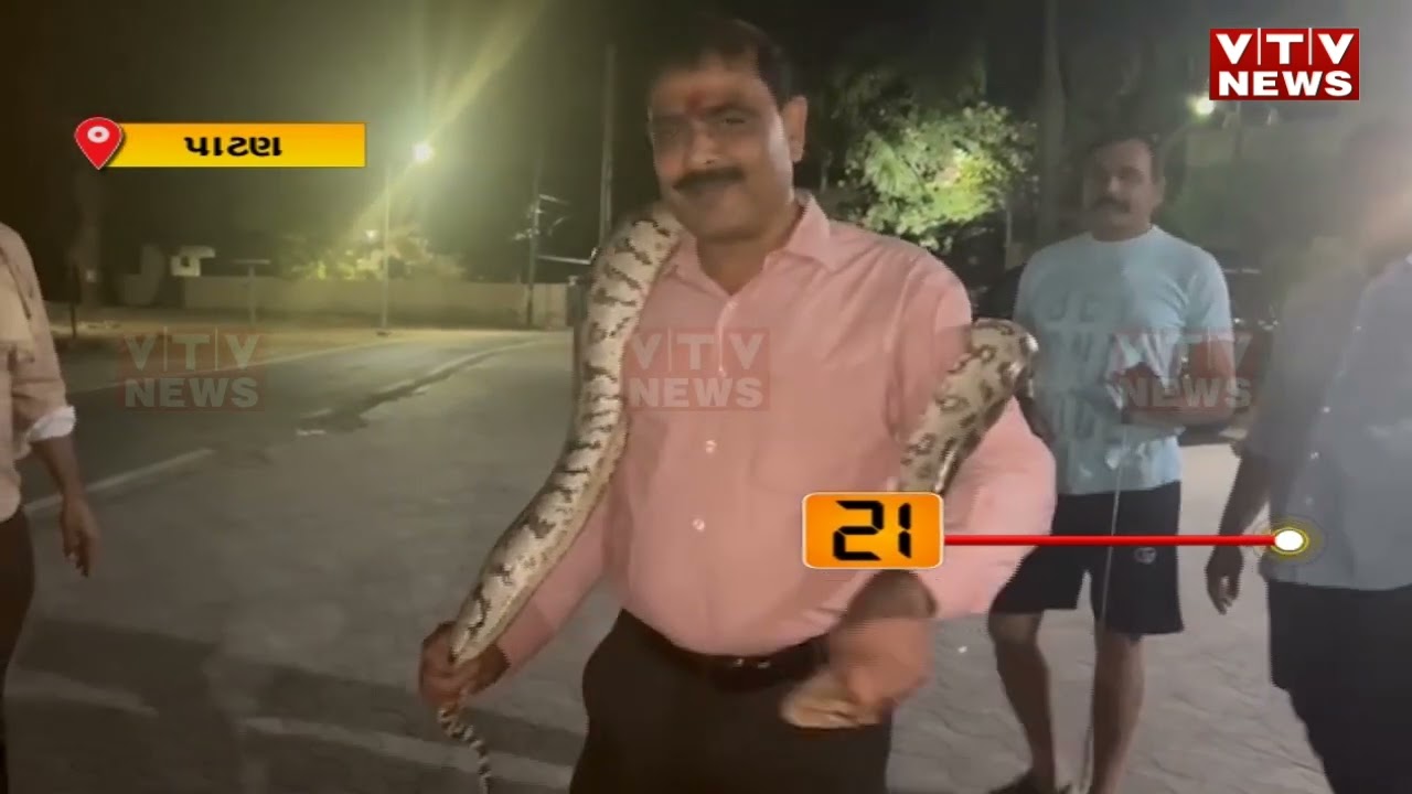 Patan MLAનો Kirit Patel નો અજગર સાથે વીડિયો વાયરલ | VTV GUJARATI