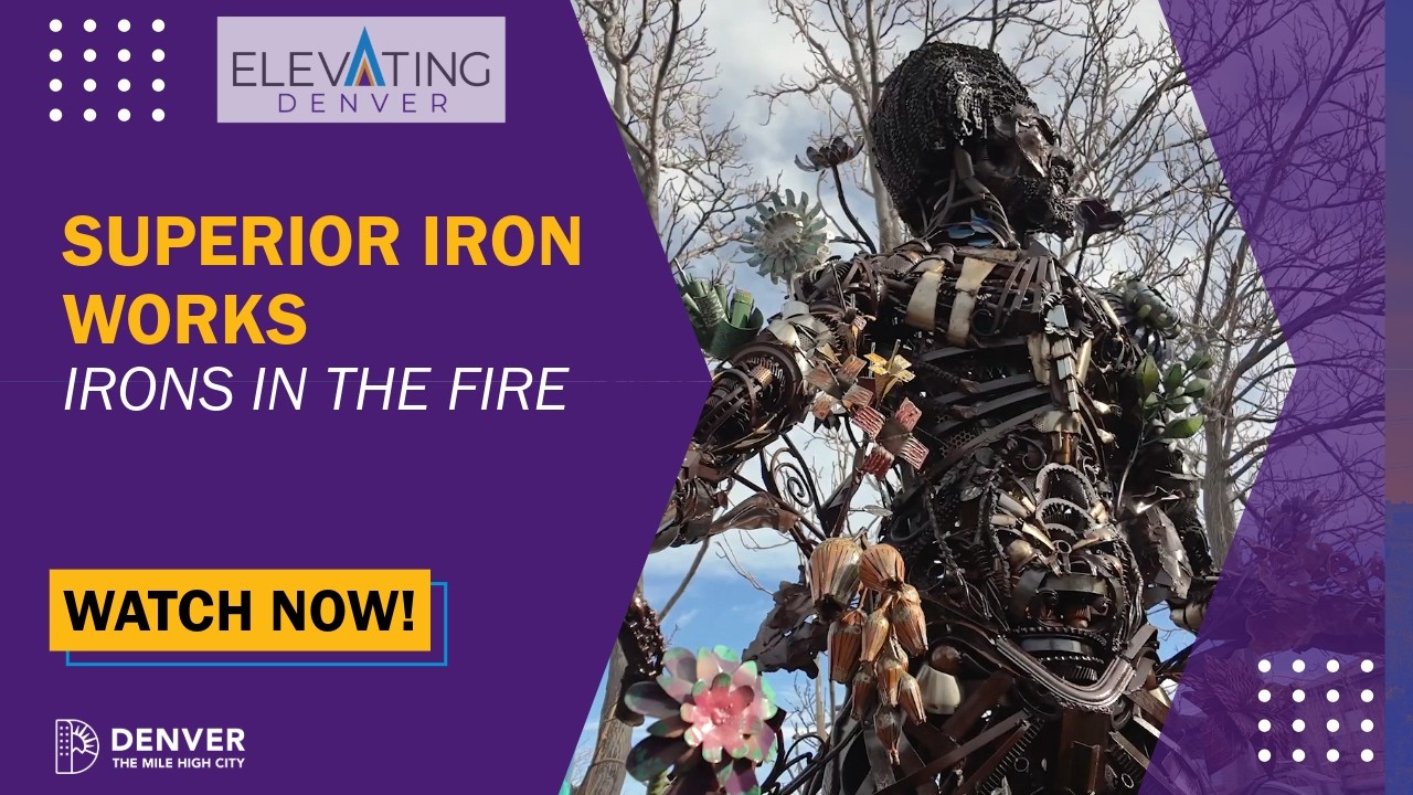 Superior Iron Works: Irons in the Fire