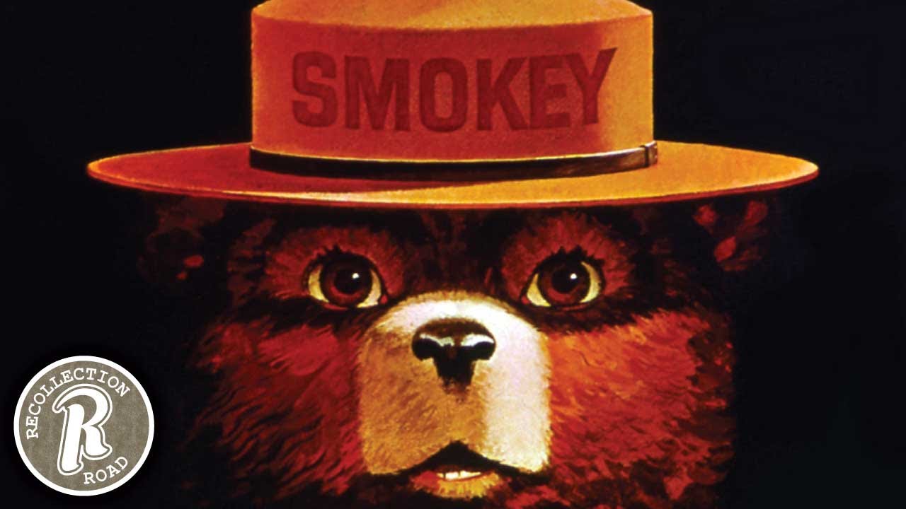 История SMOKEY BEAR — Жизнь в Америке