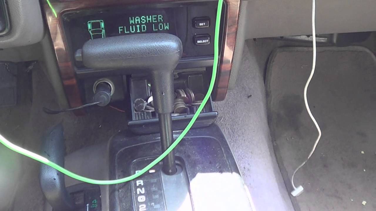Woofer Flex!