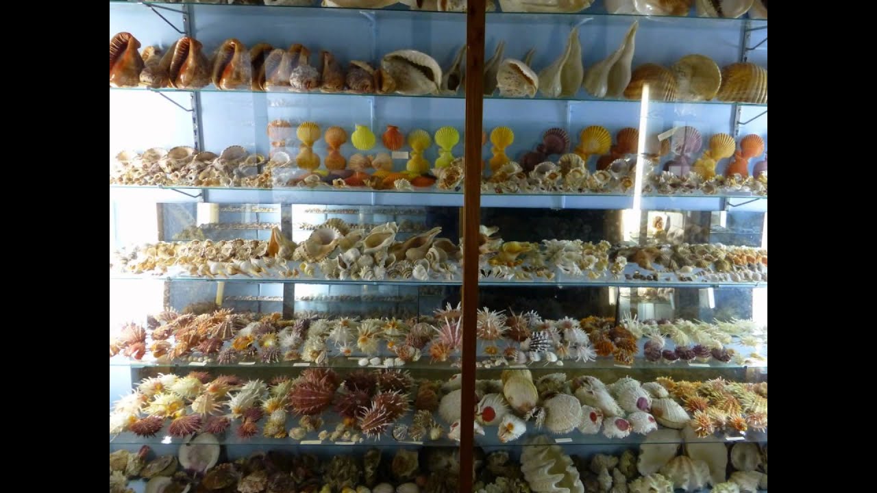 Griffiths' Sea Shell Museum and Marine Display, Lakes Entrance, Victoria, Australia
