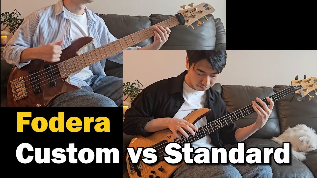 Fodera Custom VS Standard Bass [Comparison]