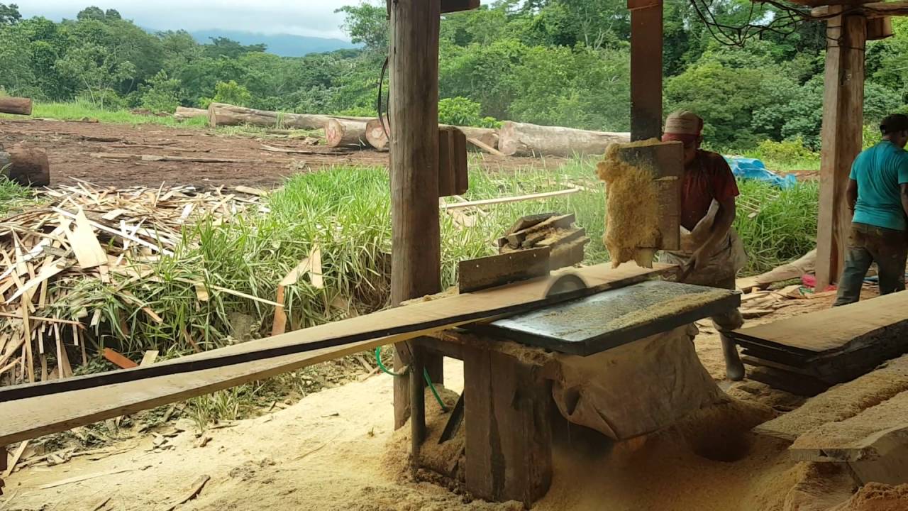 Aserradero taxisco #madera #guatemala #proworkteam #quieromimadera