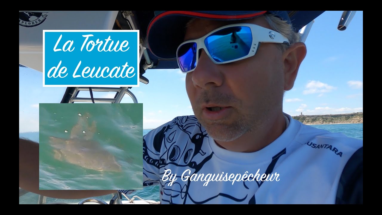La Tortue de Leucate  M&eacute;diterran&eacute;e