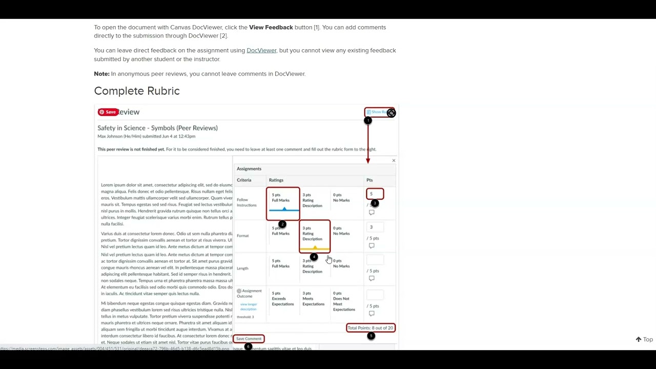 Canvas Peer Reviews (January 2023)