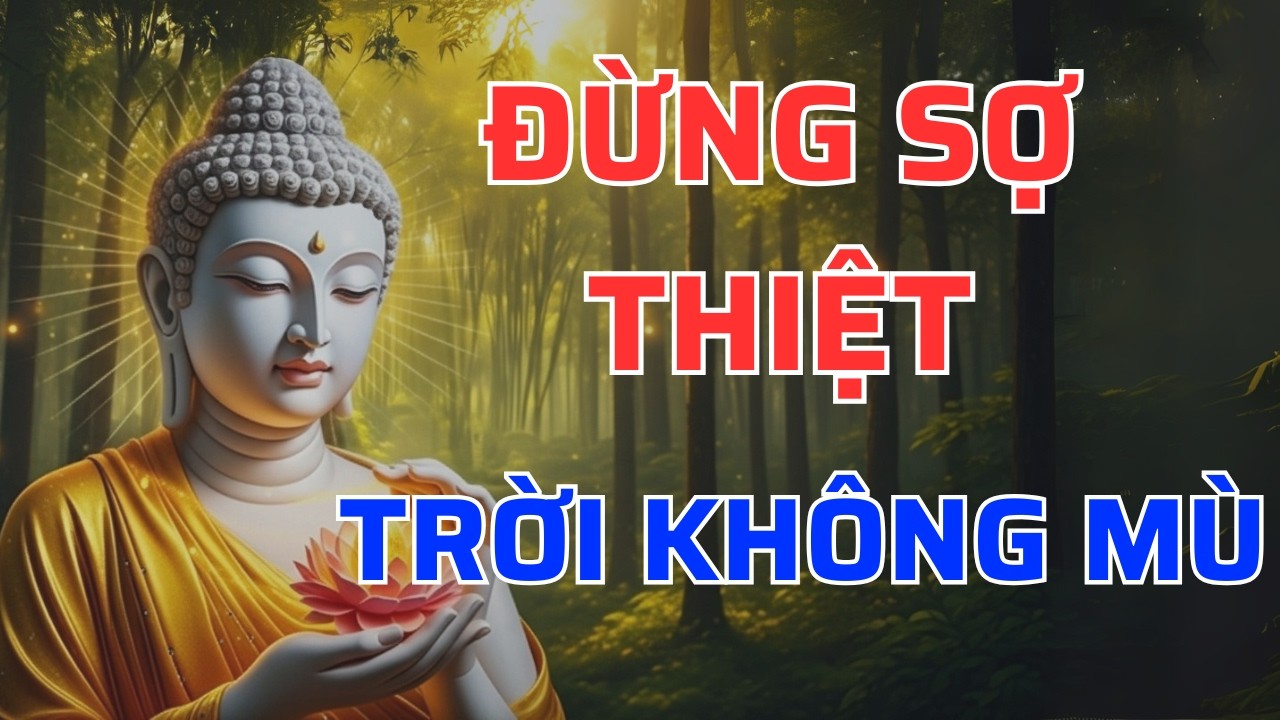 Phật dạy: Đừng sợ thiệt thòi – Trời không mù, nhân quả chưa bao giờ bỏ sót ai | Tâm An audio