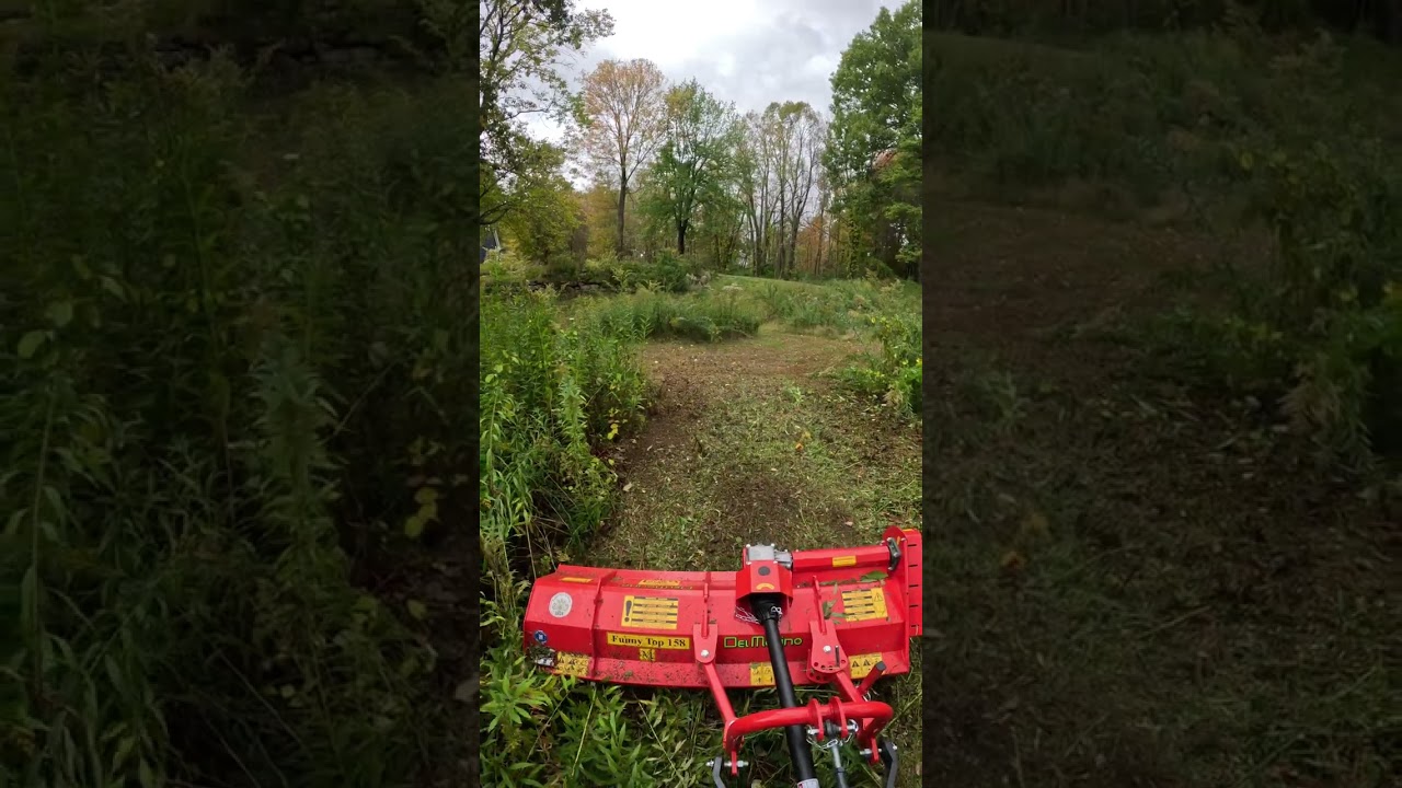 L-2501 brush mowing with the Del Morino Funny Top Flail Mower
