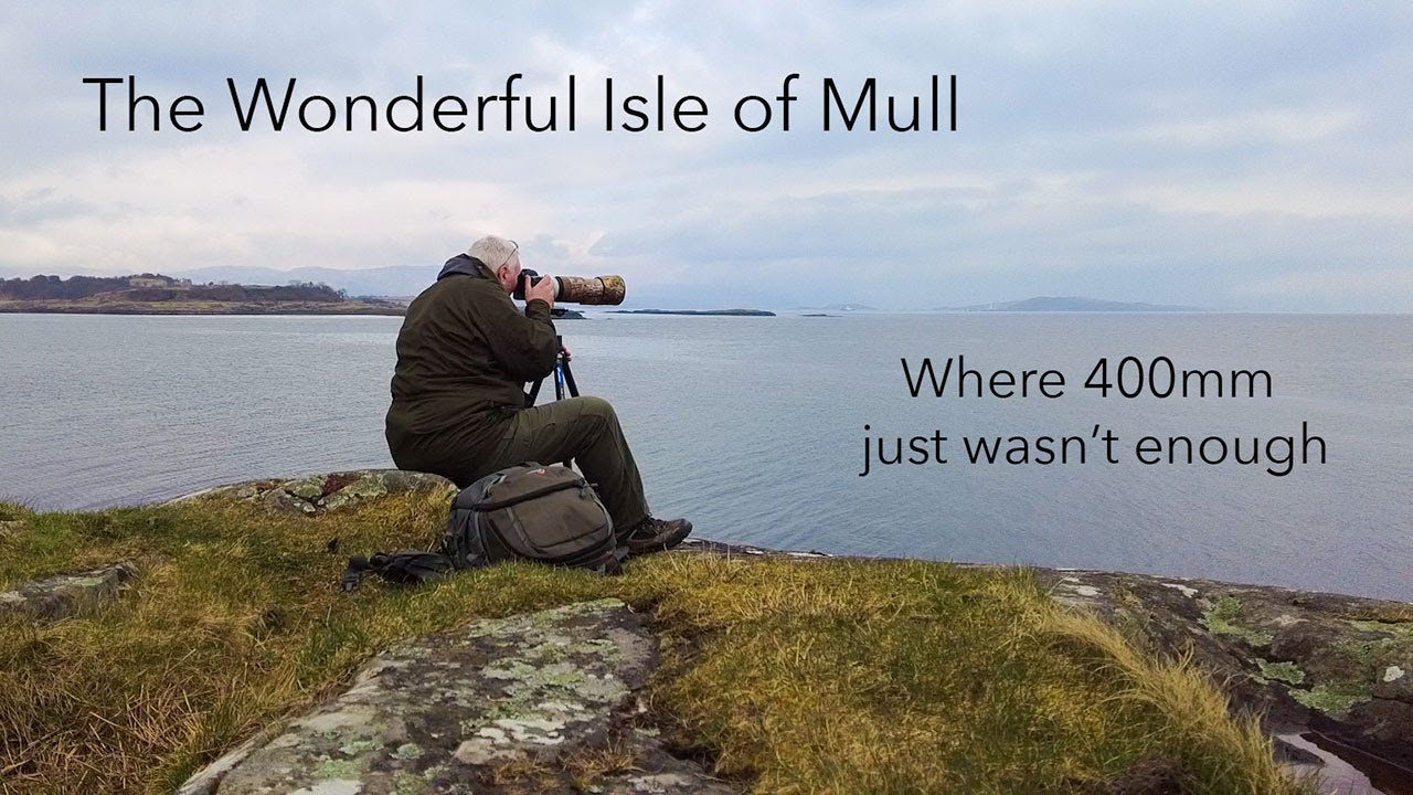 The beautiful Isle of Mull. Bird photography. Eagles, Owls and more.....