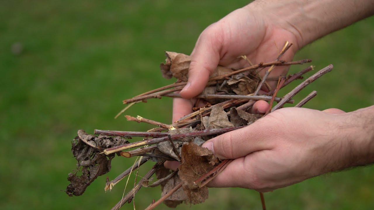 Compostage, mode d'emploi : que peut-on composter et comment ?