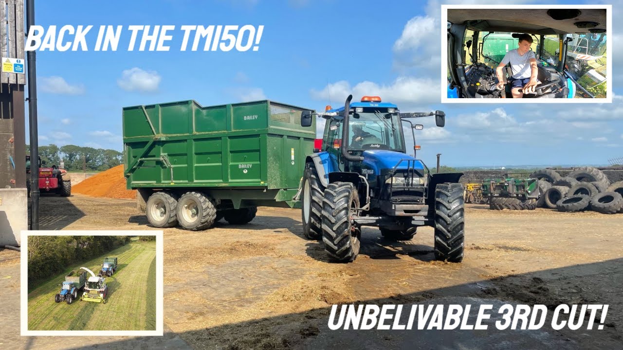 UNREAL 3RD CUT SILO! HEATWAVE IN SEPTEMBER?!