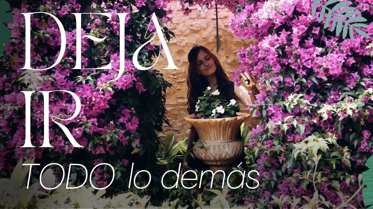 Minimalismo mental 🦋 | 6 claves para una vida plena 🌿