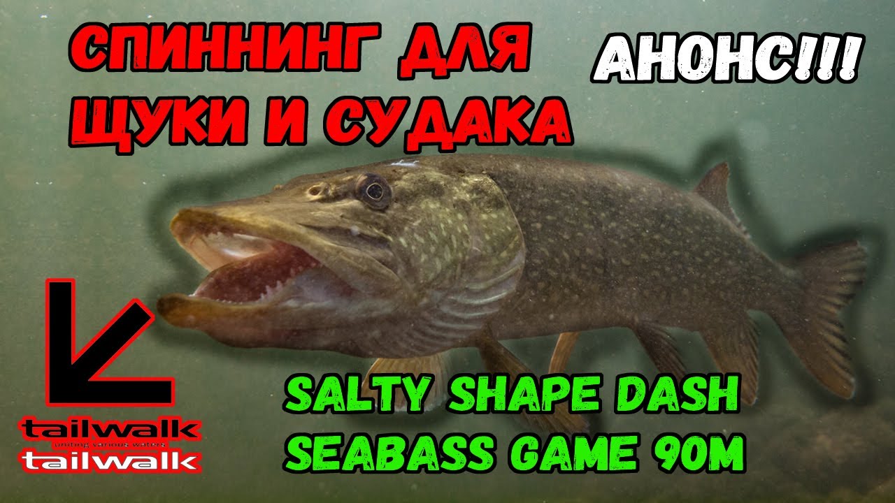 #33 АНОНС!!! Обзор спиннинга SALTY SHAPE DASH SEABASS GAME 90M #Tailwalk #Рыбалка #Судак #Щука