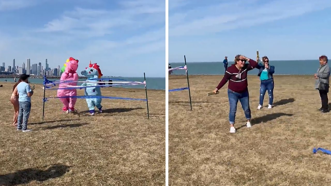 Unicorns race each other to gender reveal finish line #shorts