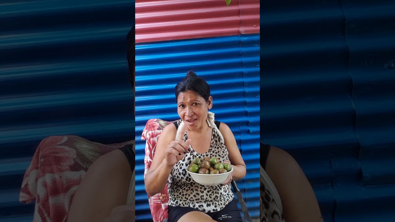 la cosecha de los ricos jocotes corona 😁👍