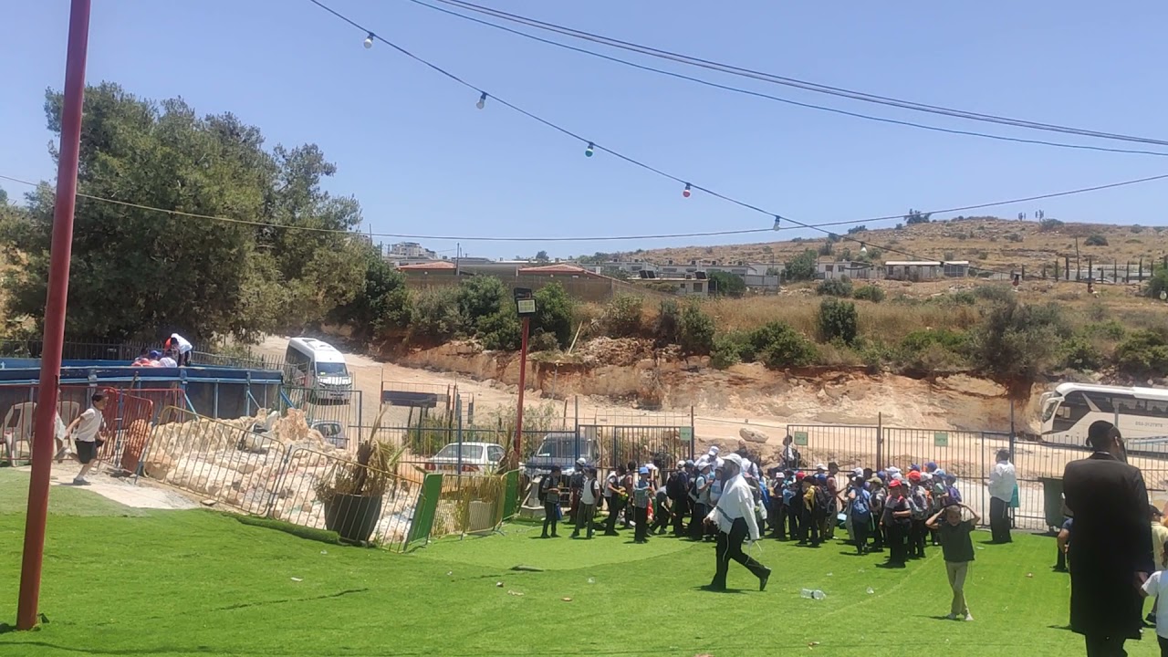 פעילות ת