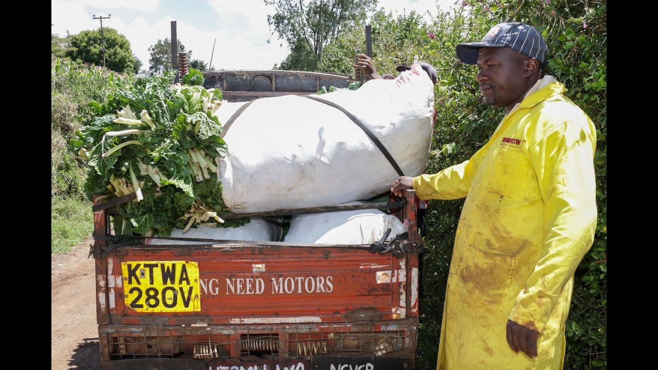 From Matatu Routes to Reliable Harvests | George Kiratu's Farming Story