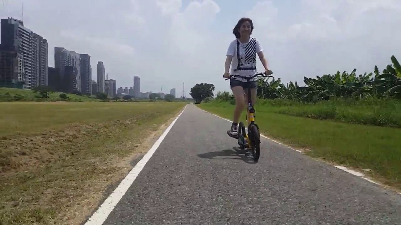 Brizon  Wingflyer 16 ,革命的エクササイズ自転車 low impact , upright standing stepper bike