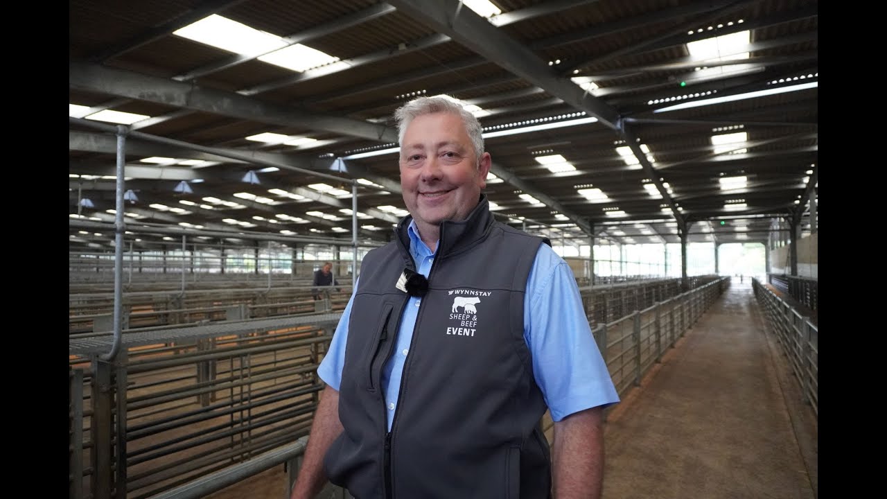 Sheep & Beef Event 2024