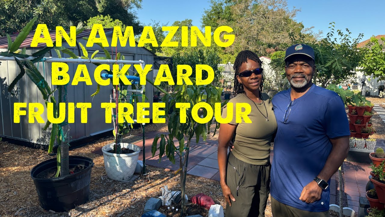 An amazing Orlando backyard fruit garden tour