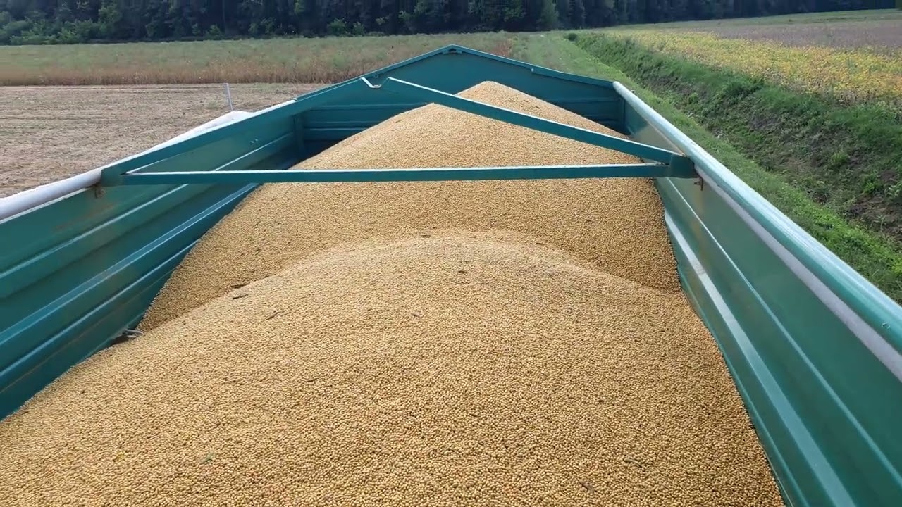 Žetva soje 2022 | Deutz Fahr M35.80