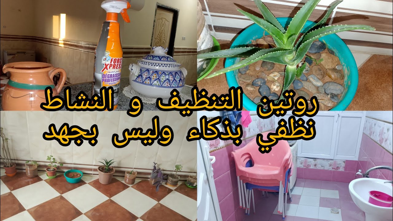  روتين التنظيف والنشاط🪑🪣نظفي بذكاء وليس بجهد #افكار  تخرجنا من الروتين اليومي للمنزل#MaYa routines@