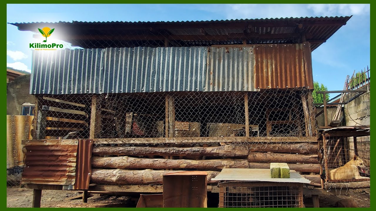 BANDA BORA LA MBUZI, NAMNA YA KULIJENGA, VITU VYA KUZINGATIA, IDADI KAMILI YA MBUZI