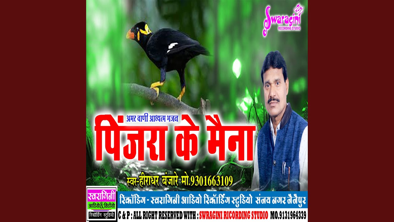 Pinjra Ke Maina