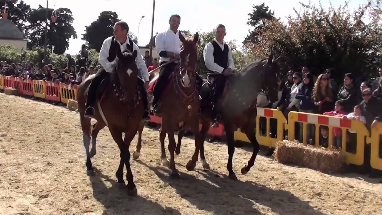 pentolaccia a cavallo Buddusò sfilata