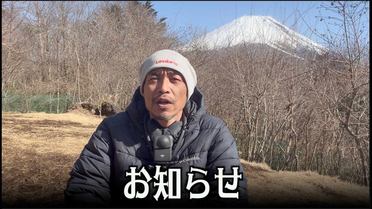 決断とお知らせ