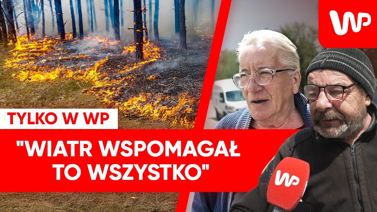 Potężny pożar lasu pod Warszawą. Relacje mieszkańc&oacute;w Wołomina