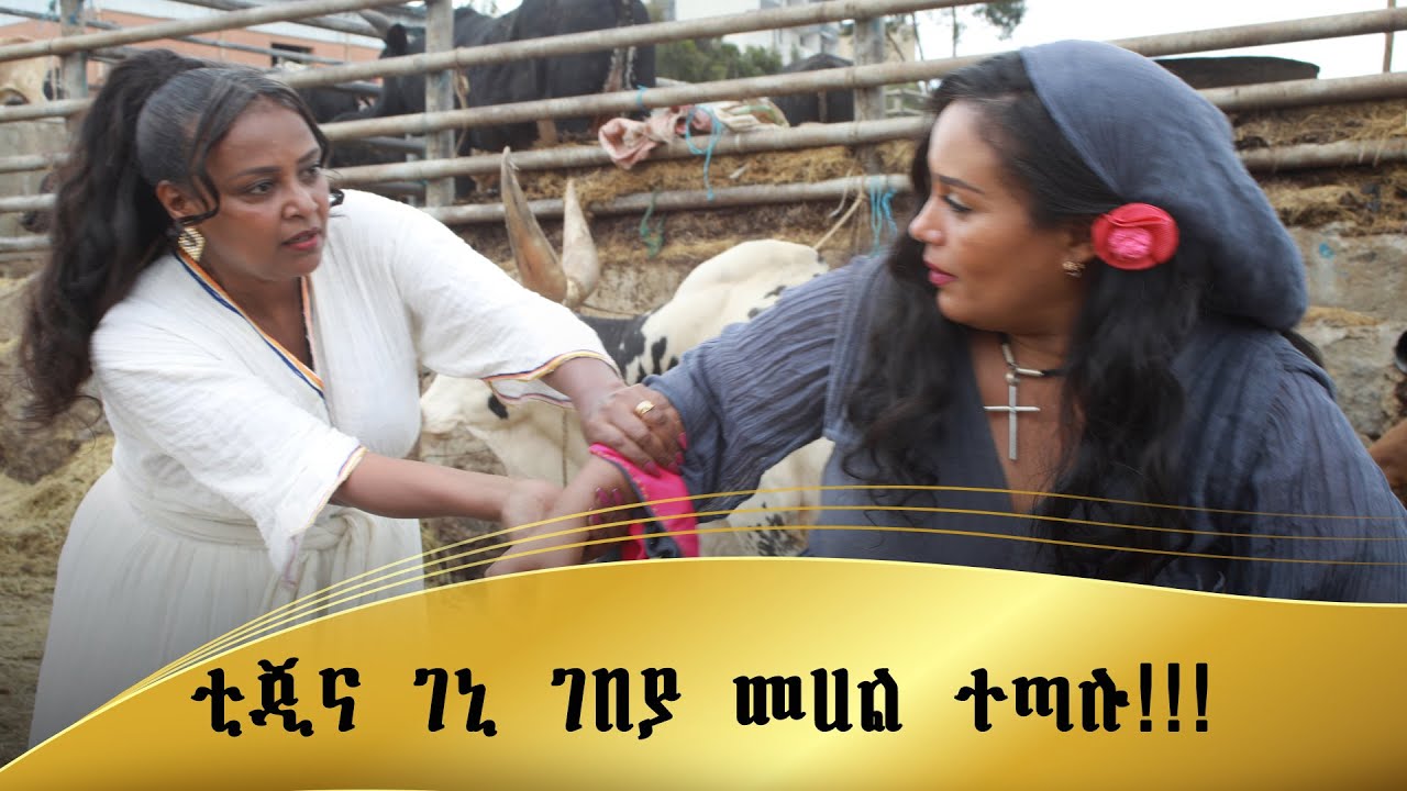 ቲጂና ገኒ ተጣሉ
