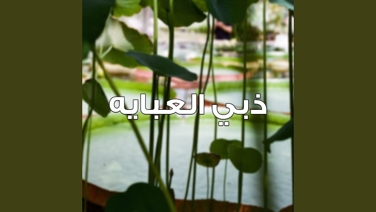 Dhebi El 3baiya