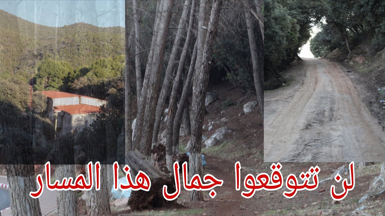 المسار الغابوي الذي يخطف الأنفاس في القصيبة | تاغبلوت نحليمة.. Hiking in Tagablout Nahlima