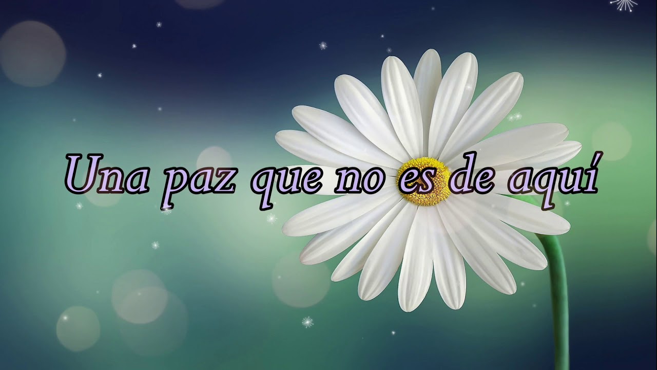 La paz de Dios, Cantautor Hector Hugo