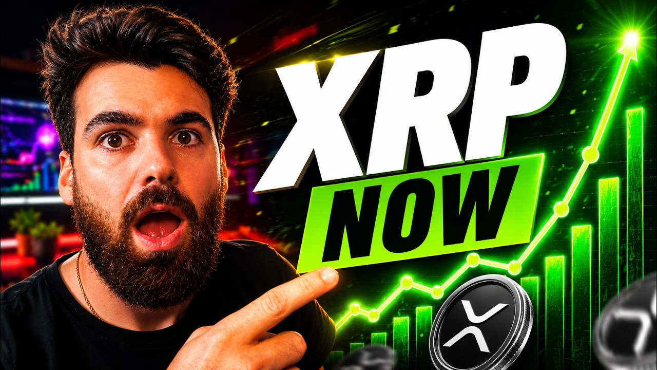 Крупное обновление XRP только для институционалов
