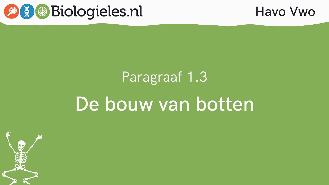 Havo Vwo 1 | Stevigheid en beweging | 3. De bouw van botten | Biologieles.nl