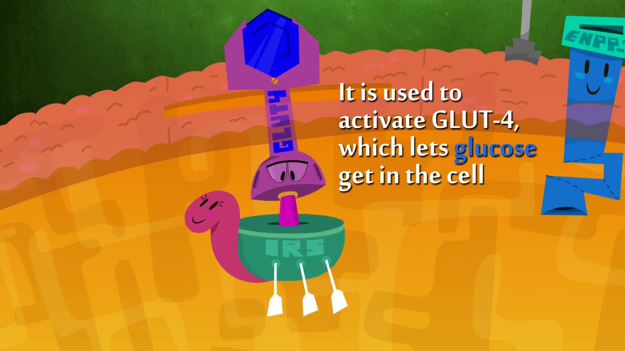 Type 2 Diabetes