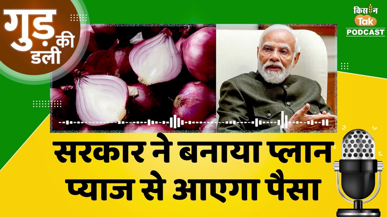 Onion Price: महंगाई कम करने के लिए 2 लाख टन प्याज खरीदेगी सरकार | Kisan Tak