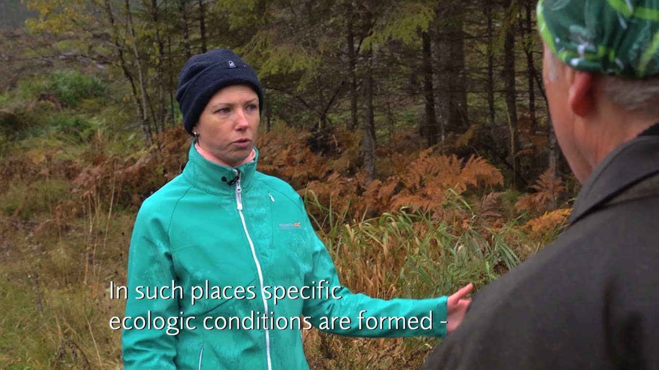 Forest buffers in the Baltic sea region (English version)