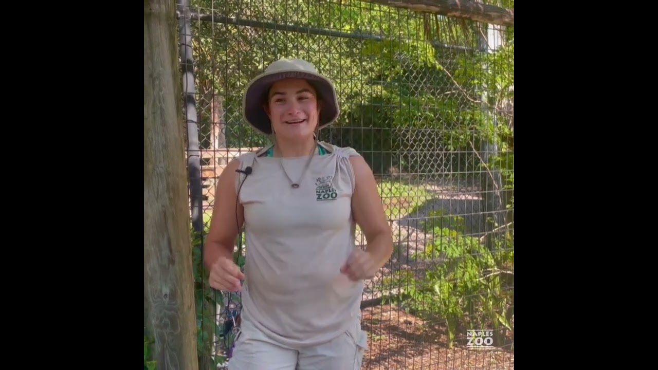 National Zookeeper Week 2022