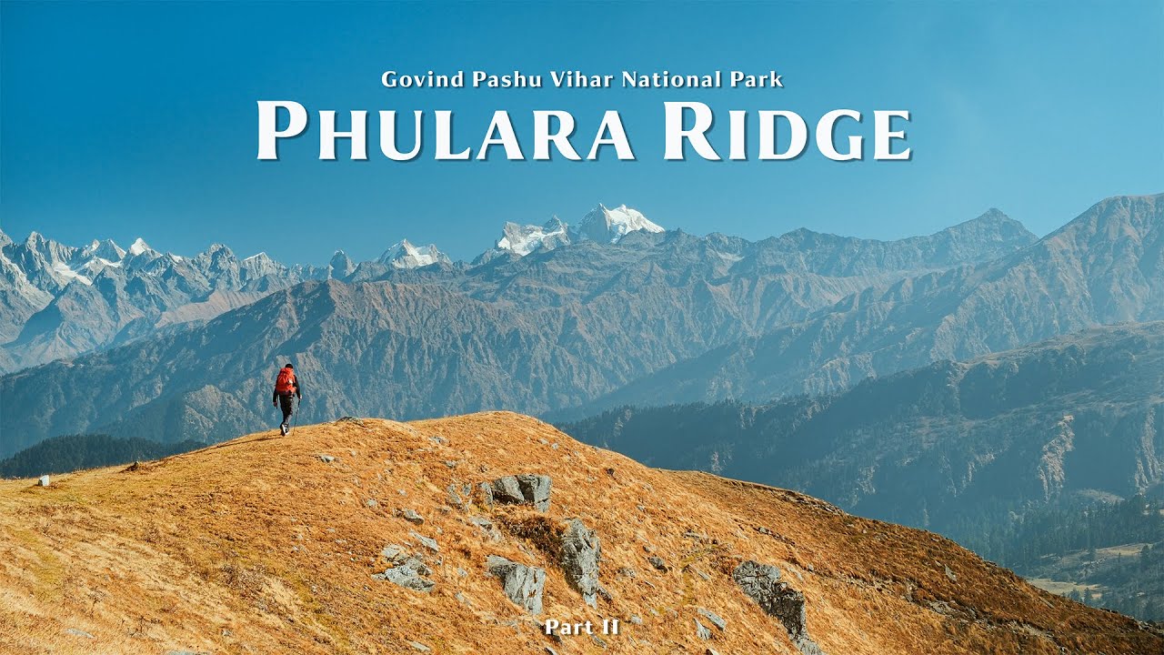 Phulara Ridge | Silent Hiking in GPV National Park for 4 Days -  Part 2 (4K)