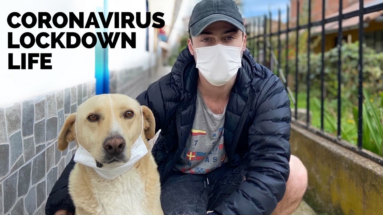 Coronavirus Lockdown in Peru 🇵🇪 This is Our Life Now...